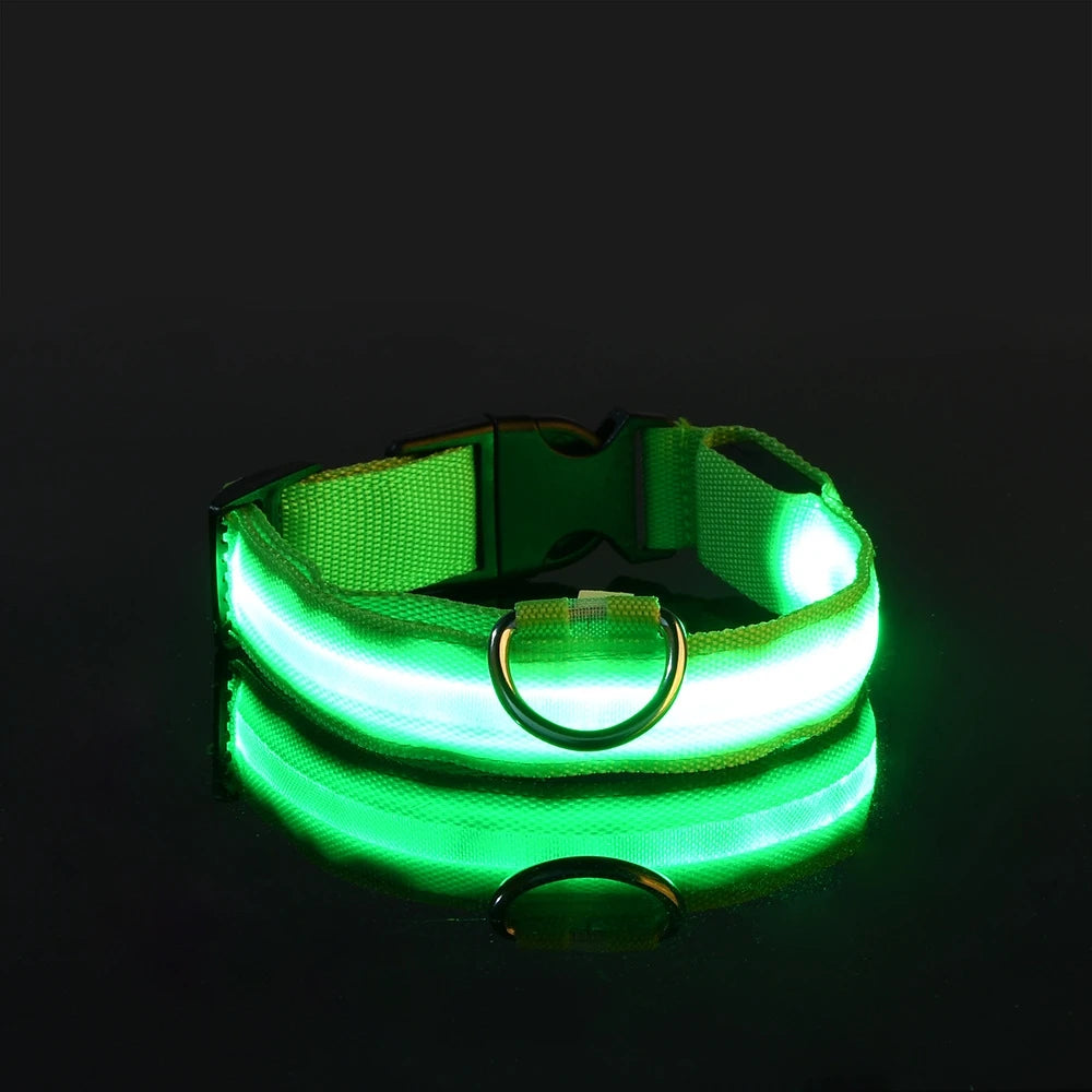 LED Safety Dog Leash Collar