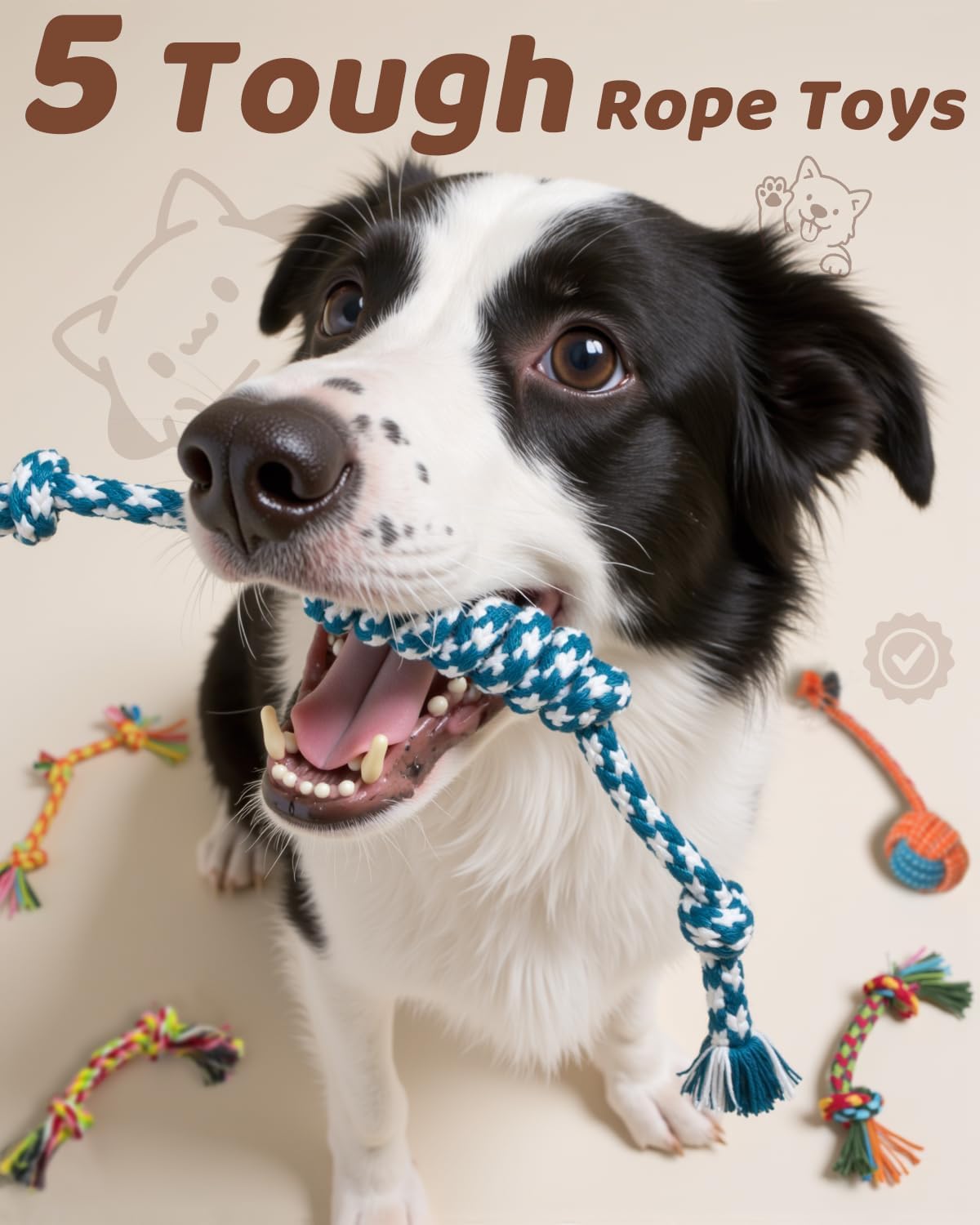 Ultimate Dog Adventure Pack