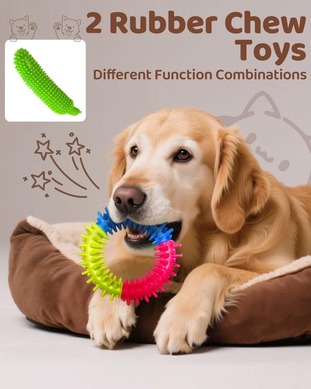 Ultimate Dog Adventure Pack