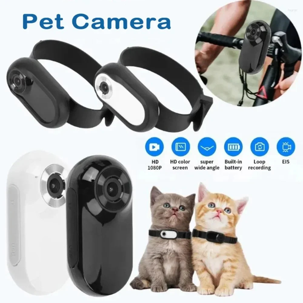 Pet Adventure View Collar
