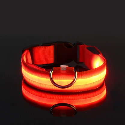 LED Safety Dog Leash Collar