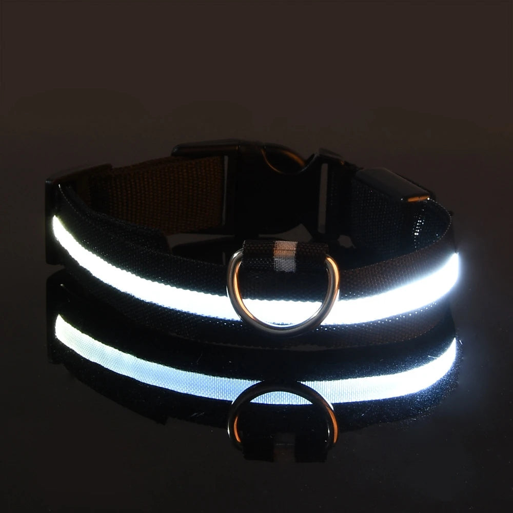 LED Safety Dog Leash Collar