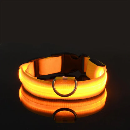 LED Safety Dog Leash Collar