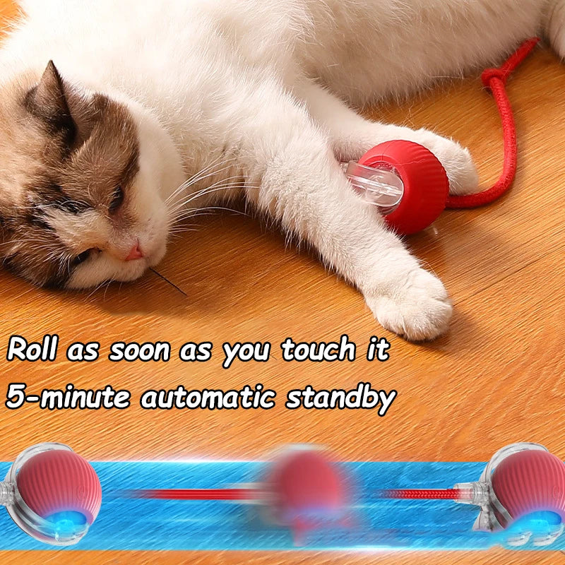 Playful Paws Cat Toy Set