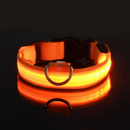 LED Safety Dog Leash Collar