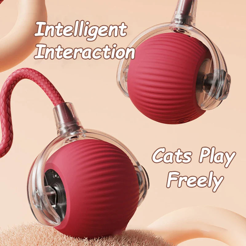 Playful Paws Cat Toy Set