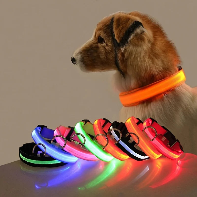 Glow-in-the-Dark Dog Leash