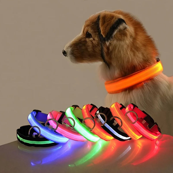 Glow-in-the-Dark Dog Leash