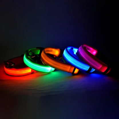 LED Safety Dog Leash Collar