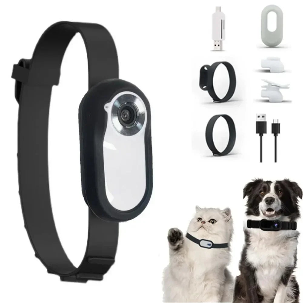 Pet Adventure View Collar
