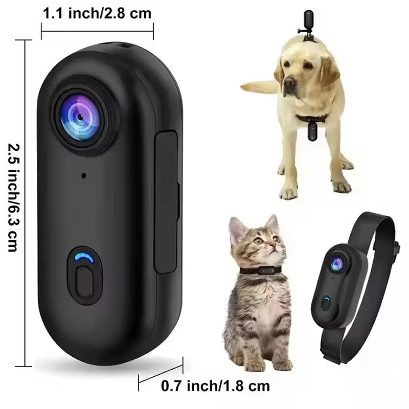 Pet Adventure Cam Collar