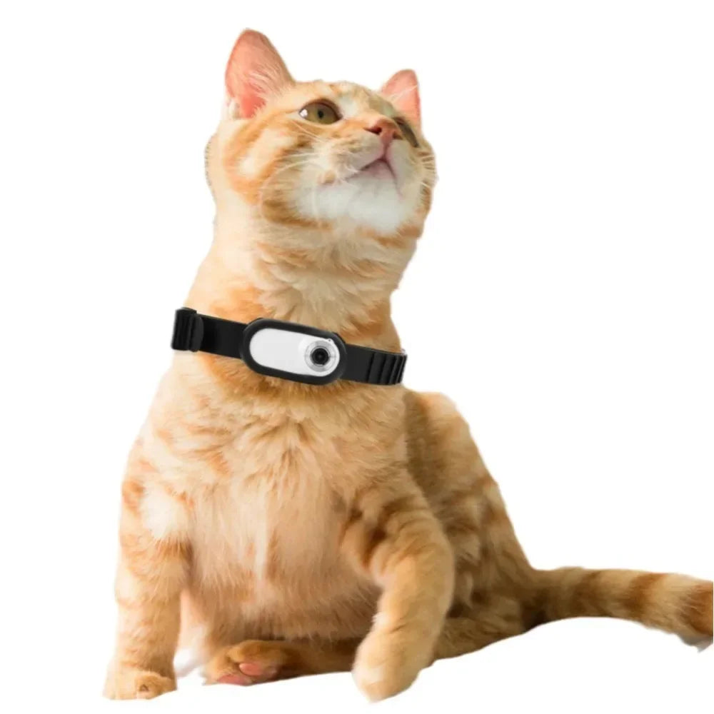 Pet Adventure View Collar
