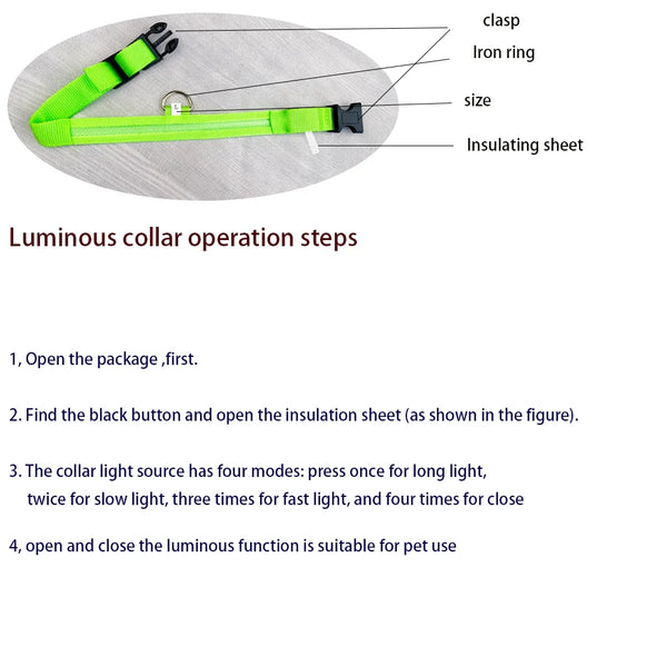 Glow-in-the-Dark Dog Leash