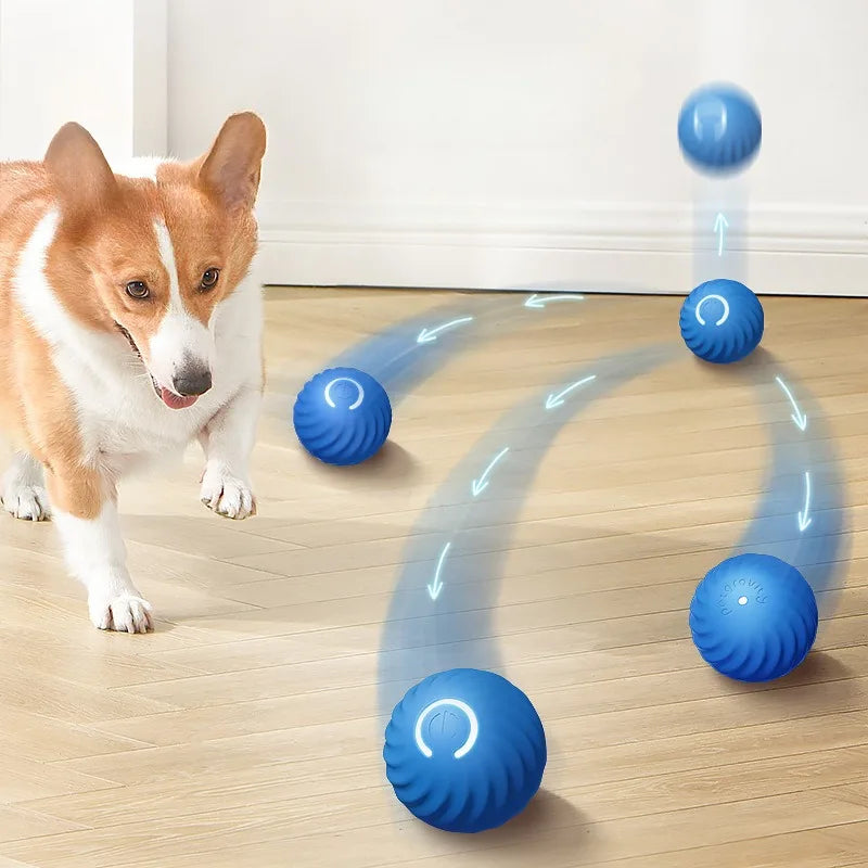 Smart Fetch Playmate