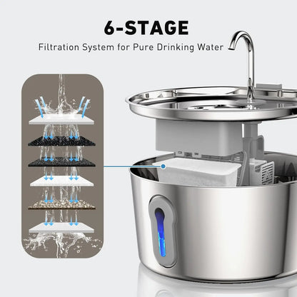 Pet Hydration Oasis