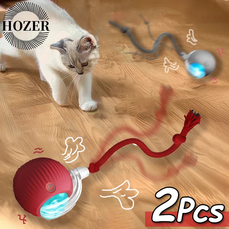 Playful Paws Cat Toy Set